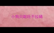 小狗只呕吐不拉稀