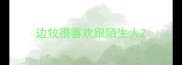 边牧很喜欢跟陌生人