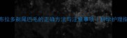 拉布拉多剃尾巴毛的正确方法与注意事项科学护理指南