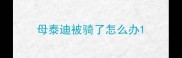 母泰迪被骑了怎么办