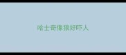 哈士奇像狼好吓人