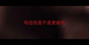 母边牧是不是更能吃