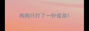 狗狗只打了一针疫苗