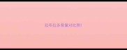 拉布拉多骨量对比照