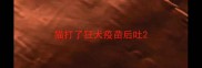 猫打了狂犬疫苗后吐