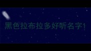 黑色拉布拉多好听名字
