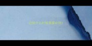 边牧什么时候需要补钙