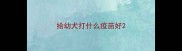 给幼犬打什么疫苗好