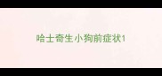 哈士奇生小狗前症状