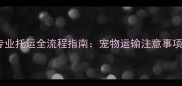 两个月小猫专业托运全流程指南宠物运输注意事项与合规操作