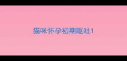 猫咪怀孕初期呕吐