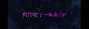 狗狗吃了一颗葡萄