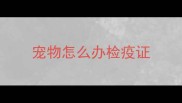 宠物怎么办检疫证