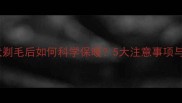 哈士奇幼犬剃毛后如何科学保暖5大注意事项与护理指南