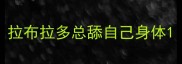 拉布拉多总舔自己身体
