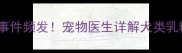 哈士奇喝牛奶中毒事件频发宠物医生详解犬类乳糖不耐的应对指南