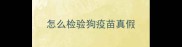 怎么检验狗疫苗真假