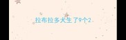 拉布拉多犬生了9个