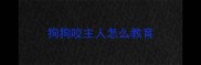 狗狗咬主人怎么教育