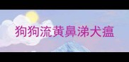 狗狗流黄鼻涕犬瘟