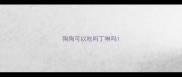 狗狗可以吃吗丁啉吗