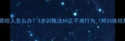 哈士奇咬人怎么办3步训练法纠正不良行为附训练视频
