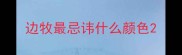 边牧最忌讳什么颜色