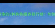 拉布拉多性格最像的5种狗狗推荐排行榜附性格与饲养指南