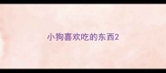 小狗喜欢吃的东西