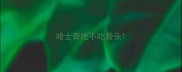 哈士奇吃不吃骨头