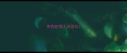 狗狗能喝大米粥吗