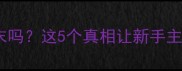 拉布拉多能吃芥末吗这5个真相让新手主人秒变养狗达人