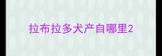 拉布拉多犬产自哪里