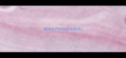 猫咪生产时间多长时间