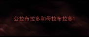 公拉布拉多和母拉布拉多