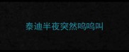 泰迪半夜突然呜呜叫