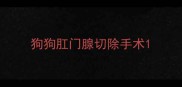 狗狗肛门腺切除手术