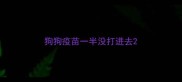 狗狗疫苗一半没打进去