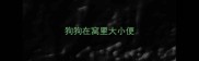 狗狗在窝里大小便