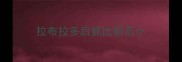 拉布拉多后抓比前爪小
