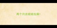 两个月吉娃娃拉屎