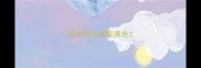 拉布拉多眼屎黑色