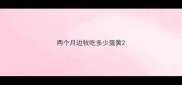 两个月边牧吃多少蛋黄