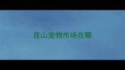 昆山宠物市场在哪