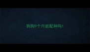 狗狗9个月能配种吗