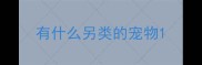 有什么另类的宠物
