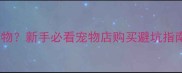 宠物店可以买哪些宠物新手必看宠物店购买避坑指南附品种对比表