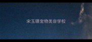 宋玉珊宠物美容学校