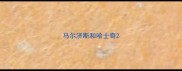 马尔济斯和哈士奇