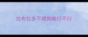 拉布拉多不喂狗粮行不行